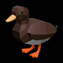 Mallard Duck Female