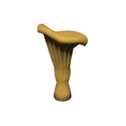 ChanterelleTreeGameReady_03