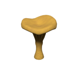 ChanterelleTreeHighGame_01