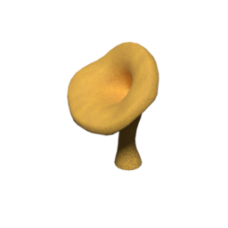 ChanterelleTreeHighGame_02