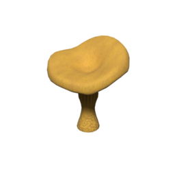 ChanterelleTreeHighGame_05