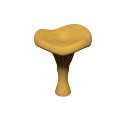 ChanterelleTreeHighPoly_01