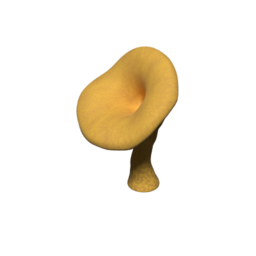 ChanterelleTreeHighPoly_02
