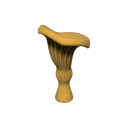 ChanterelleTreeHighPoly_03
