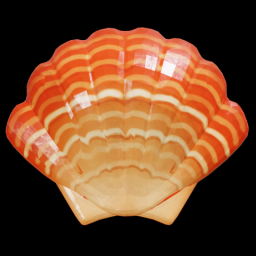 Orange Scallop Shell