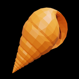 Orange Spiral Shell