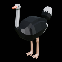 Ostrich