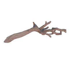 Branch_1