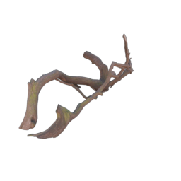 Branch_3