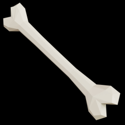 Bone