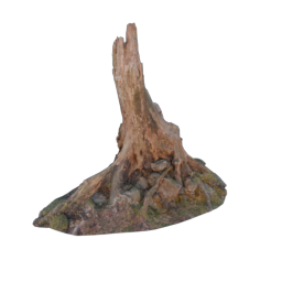 Stump_2