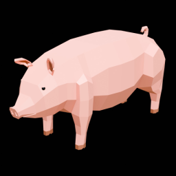 Pig