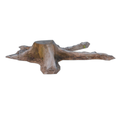 Stump_3