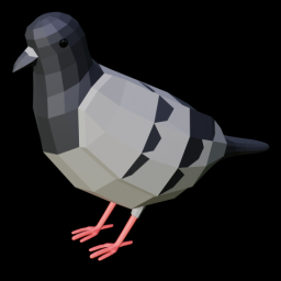 Pigeon