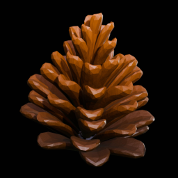 Pine Cone