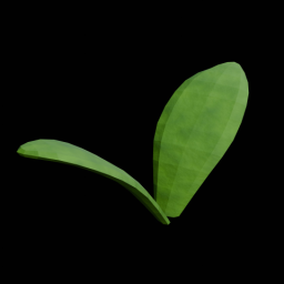 Plant 1