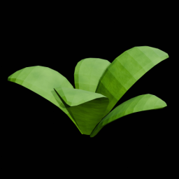 Plant 2