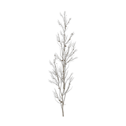 ivy-rot