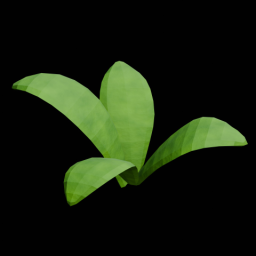 Plant 4