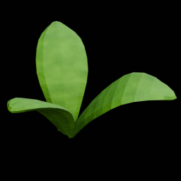 Plant 5