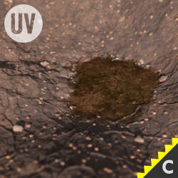dirt_01