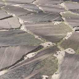 flagstone_03