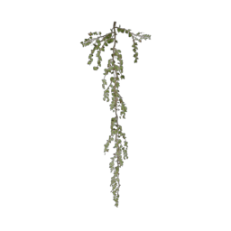ivy-type_1