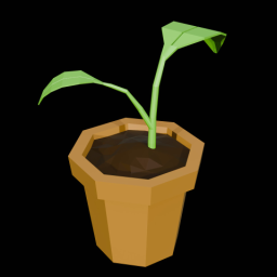 Potted Plant
