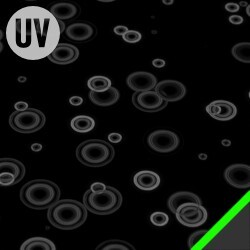 rain_shader