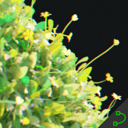 moss_generator