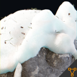 snow_generator
