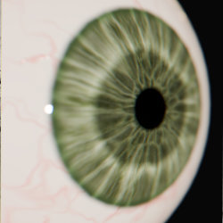 geo_eyes