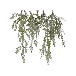 ivy-type_10
