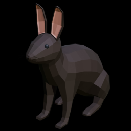Rabbit Black