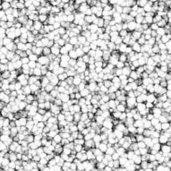cells_01.023