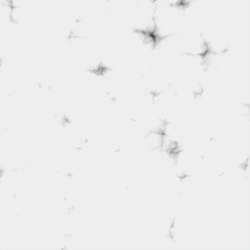dents_01.012