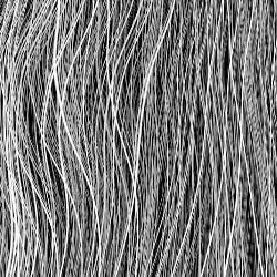 fur_hair_texture
