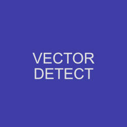 vector_detect.479