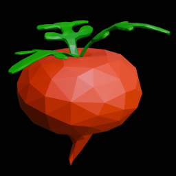 Radish