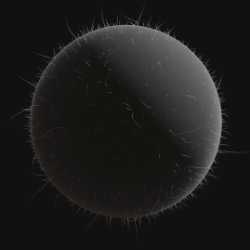 fuzz