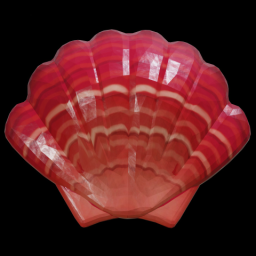 Red Scallop Shell