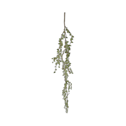 ivy-type_2