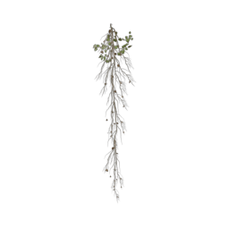 ivy-type_3