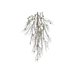 ivy-type_4
