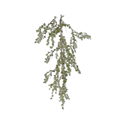 ivy-type_5