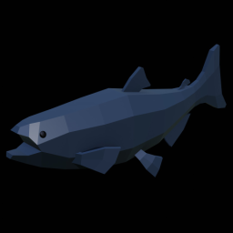 Salmon Fish