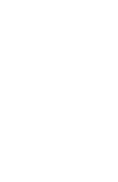 n_06