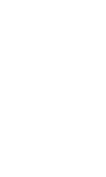 other_19