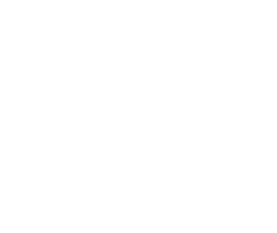other_31