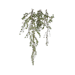 ivy-type_7